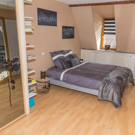 Charmant Appartement Alsacien Ribeauvillé Esterno foto