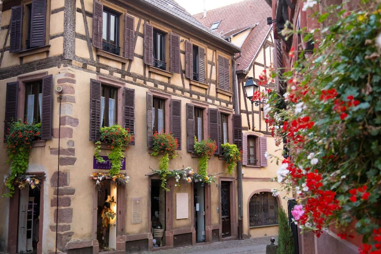 Charmant Appartement Alsacien Ribeauvillé Esterno foto