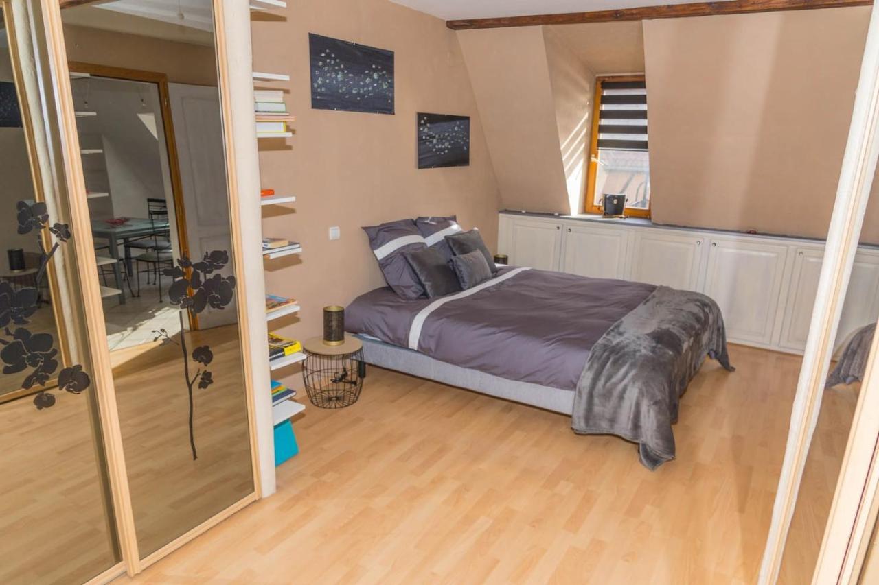 Charmant Appartement Alsacien Ribeauvillé Esterno foto