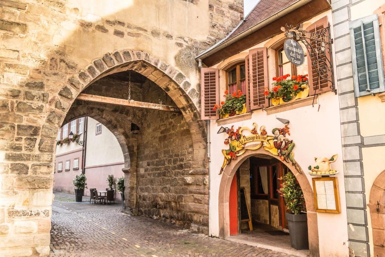 Charmant Appartement Alsacien Ribeauvillé Esterno foto