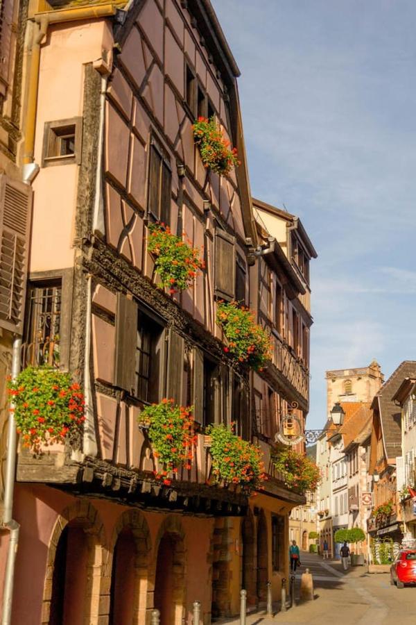 Charmant Appartement Alsacien Ribeauvillé Esterno foto