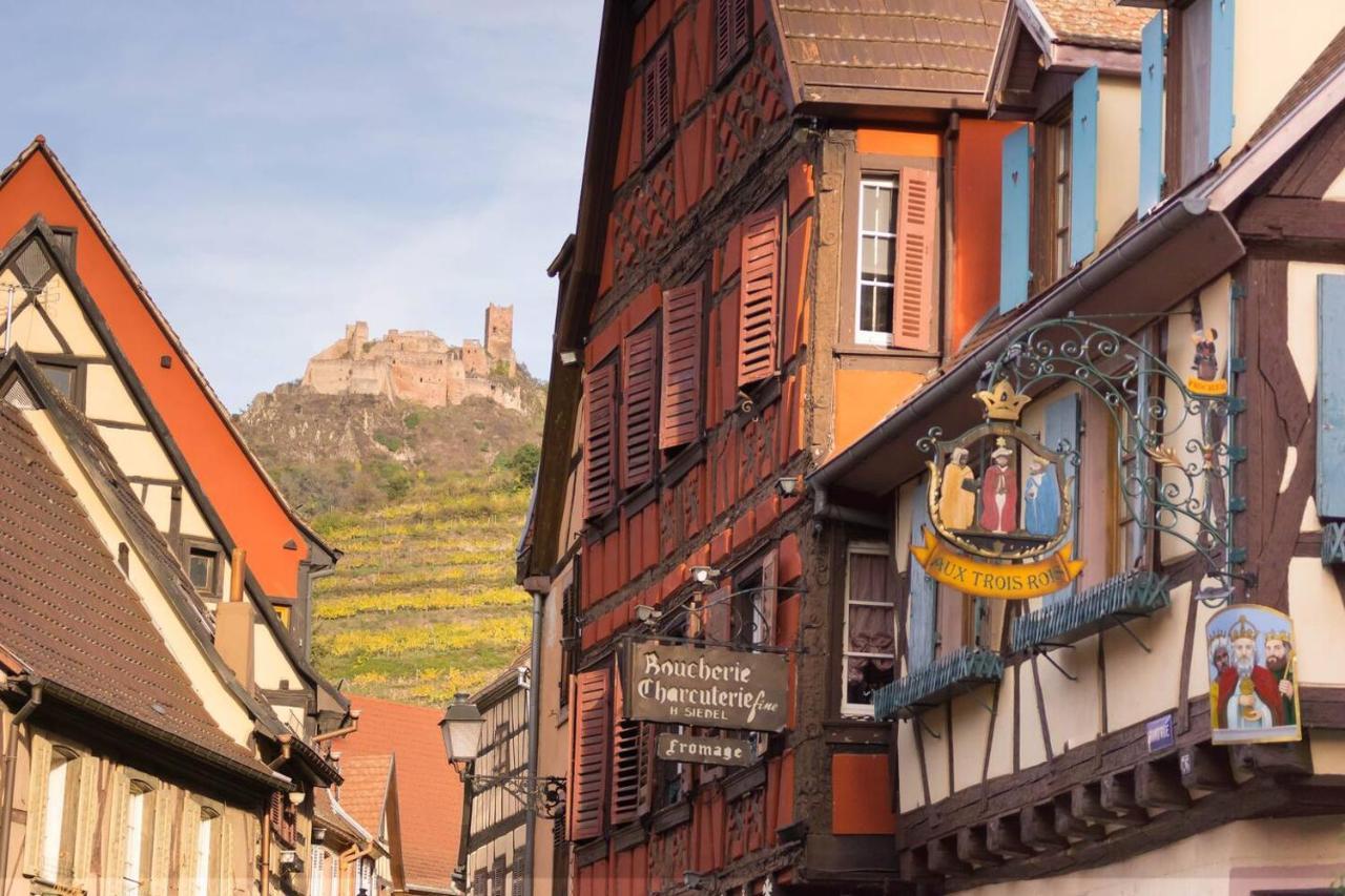 Charmant Appartement Alsacien Ribeauvillé Esterno foto