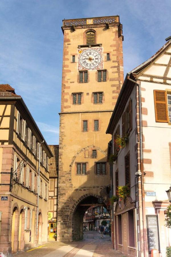 Charmant Appartement Alsacien Ribeauvillé Esterno foto