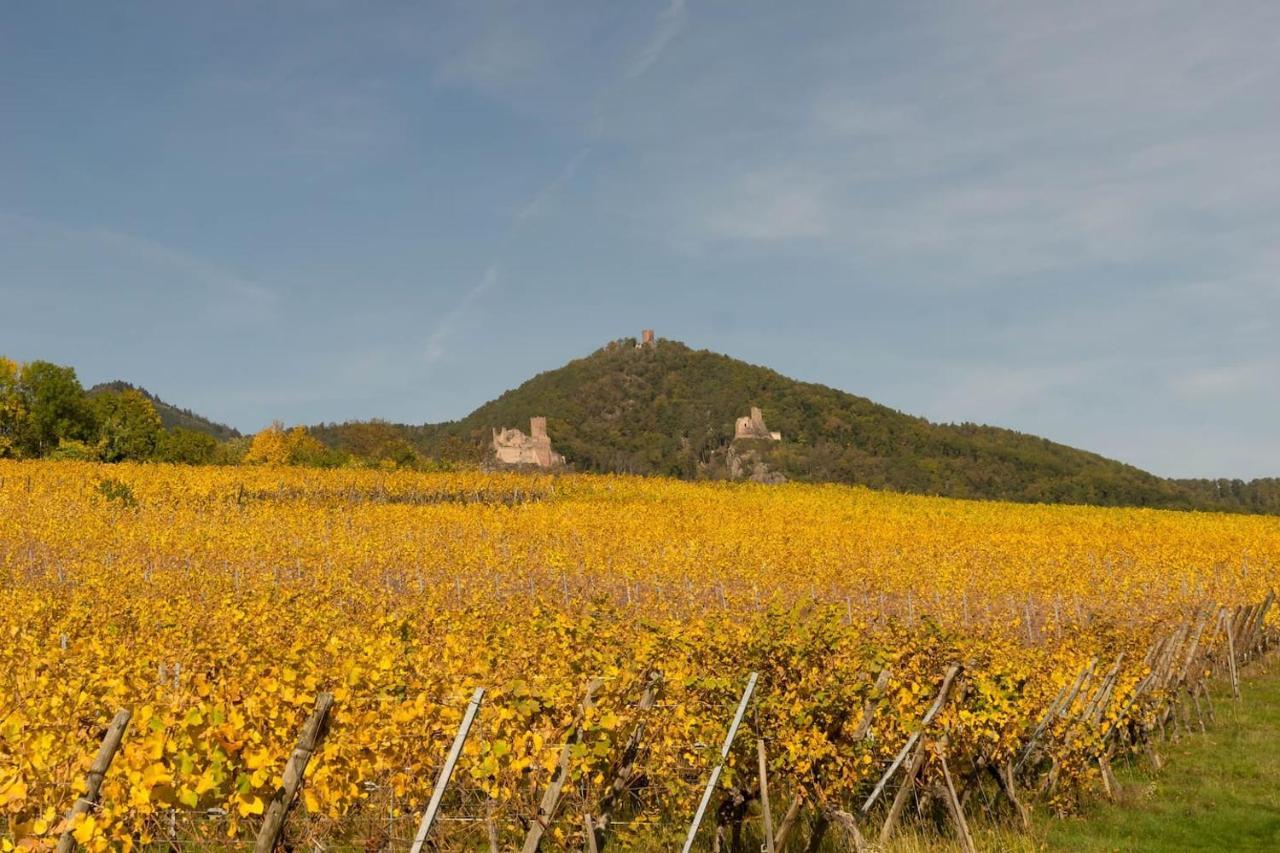 Charmant Appartement Alsacien Ribeauvillé Esterno foto